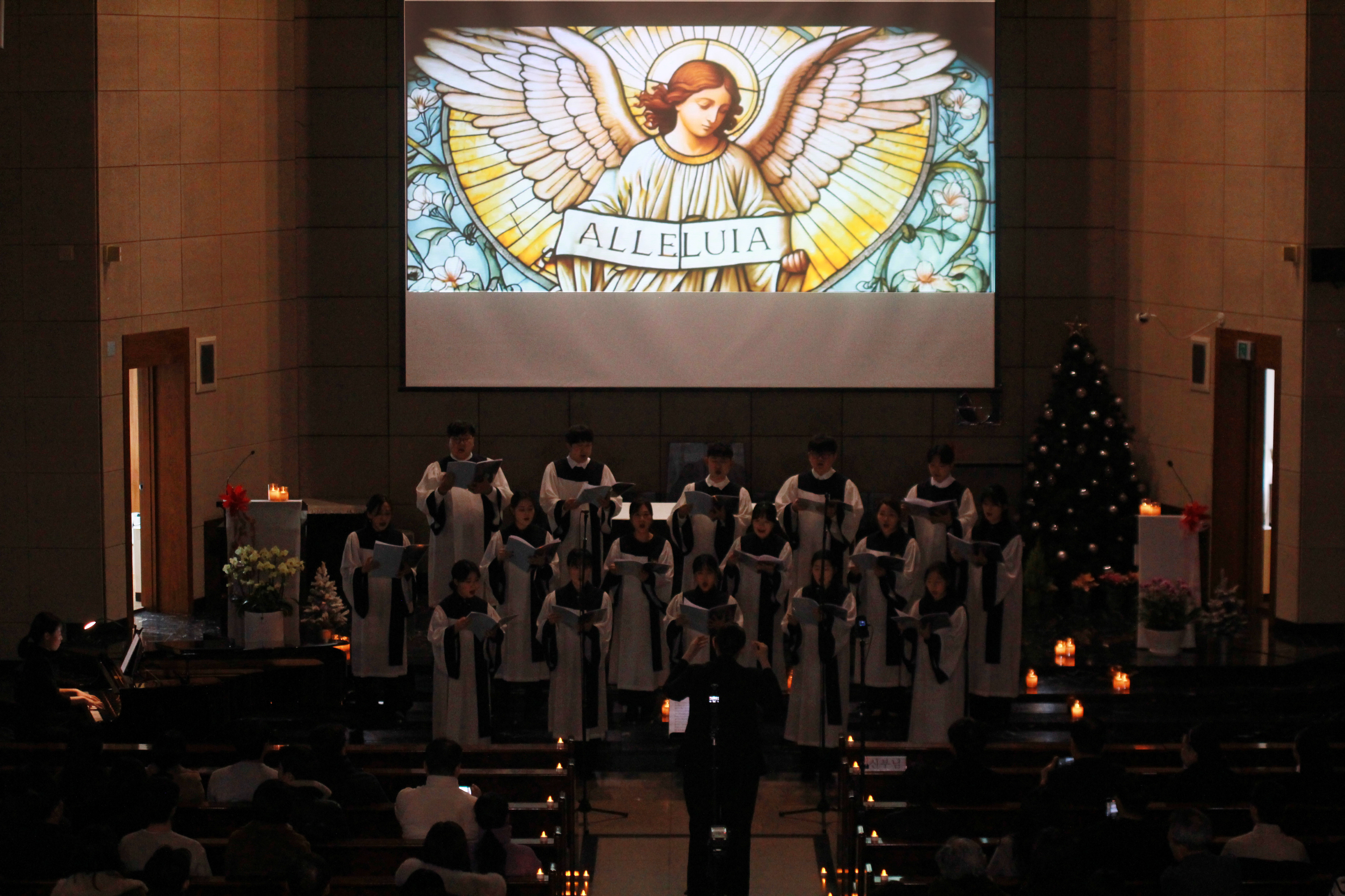 송파동성당 청년회 활동 4